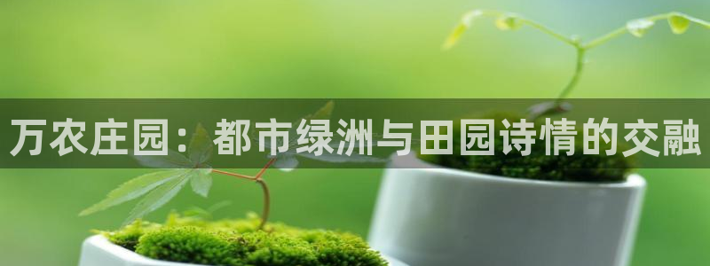 j9九游会国际版