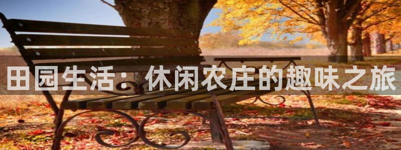九游会黑网投诉吗