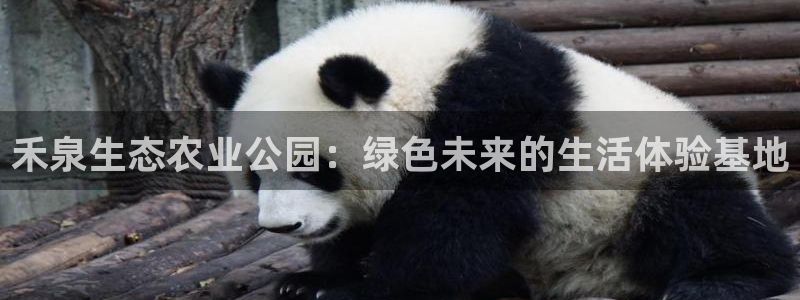 九游会网址会