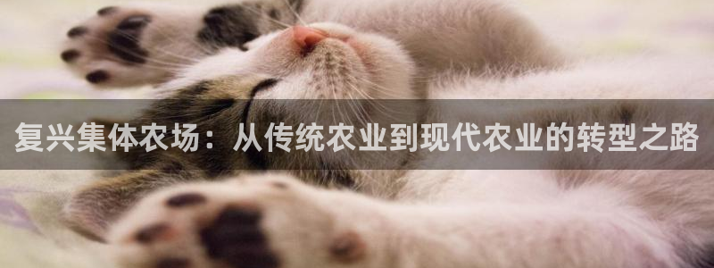 九游会电竞