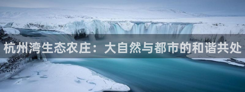 九游会鸭油