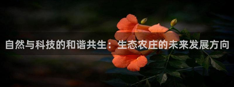 九游会官网首页进入