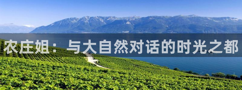九游会新版