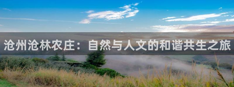 九游会官网网站入口