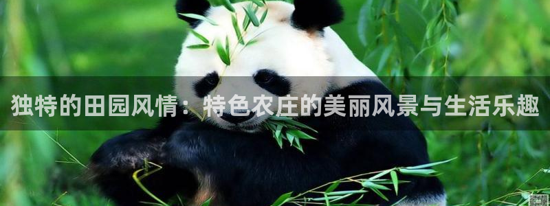 九游会体育网页