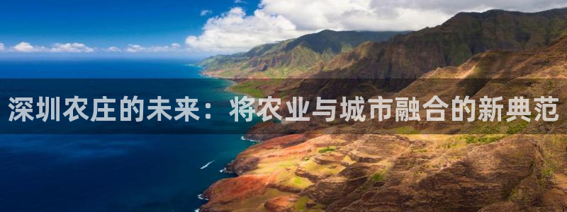 九游会网络