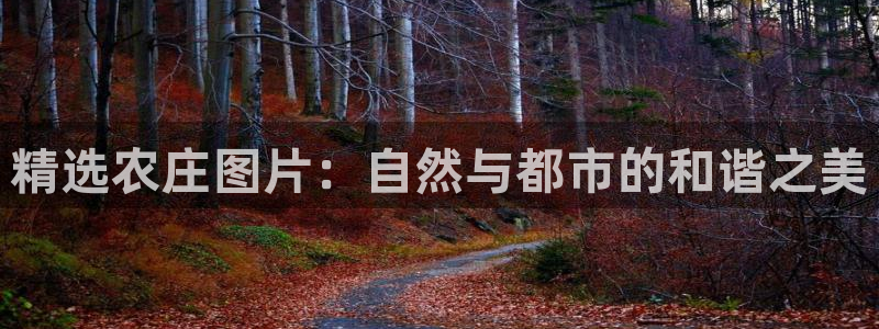 九游会官网平台网址