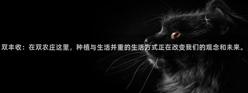 九游会百家号