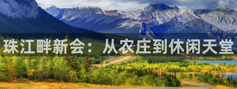 九游会 网址