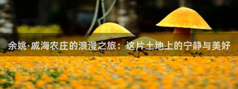 九游会ios