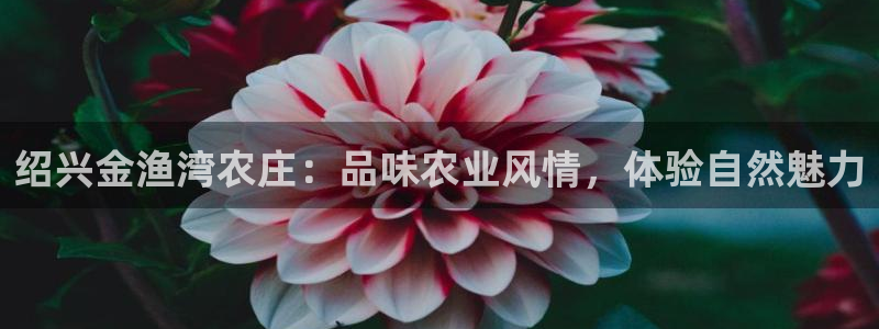 搜索 九游会