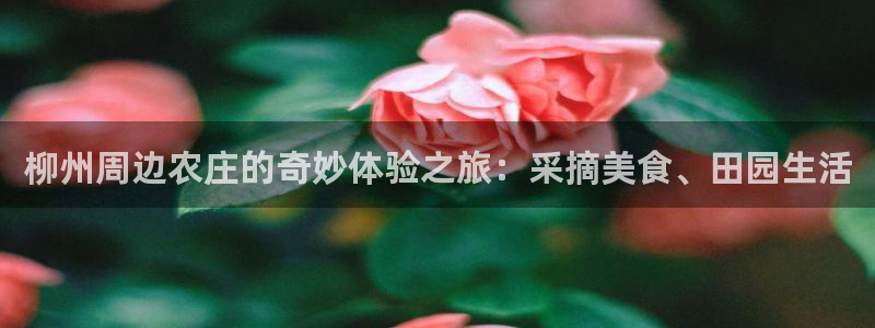 九游会平摊