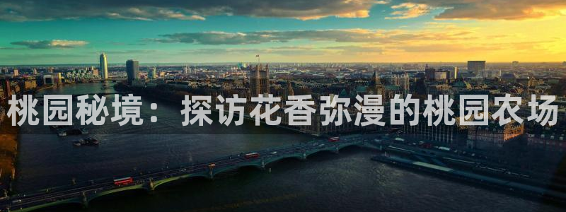 九游会平台稳定吗