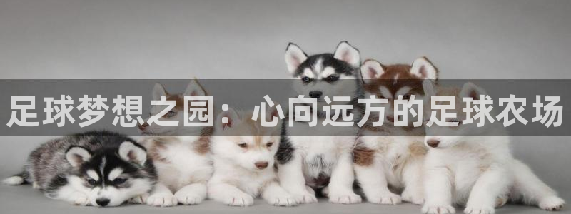 九游会世界杯