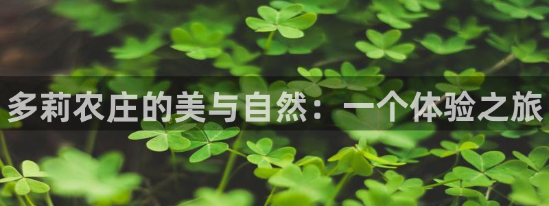 旧版九游会入口
