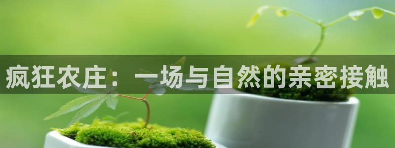 九游会游戏官网入口下载