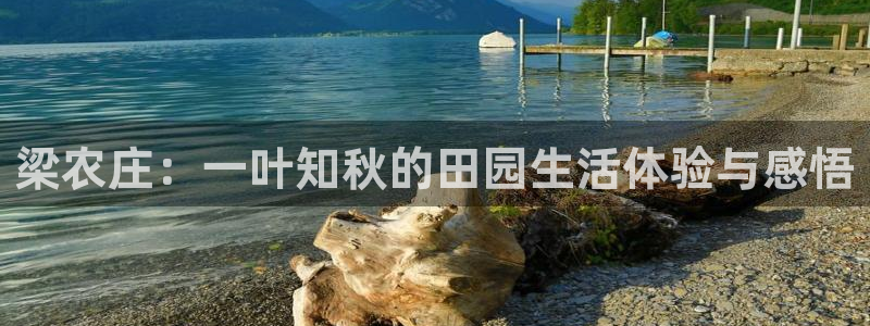 j9九游会国际站