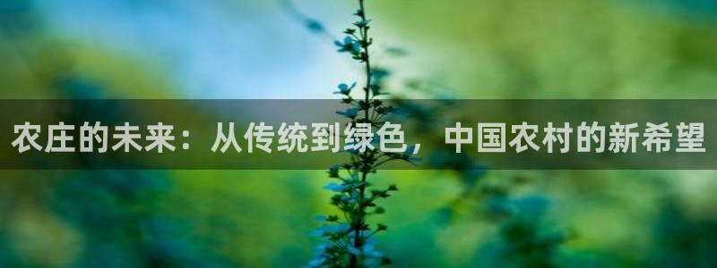 九游会直播