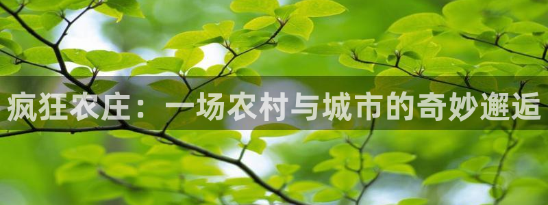 九游会体育