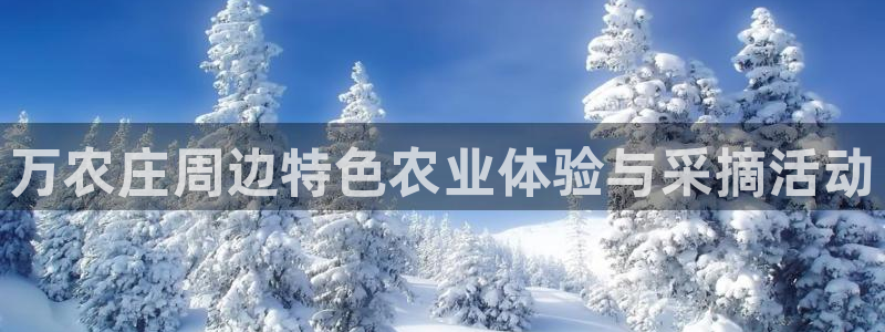 九游会直营
