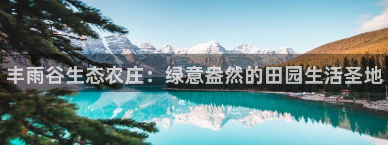 九游会真假
