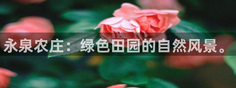九游会BJL