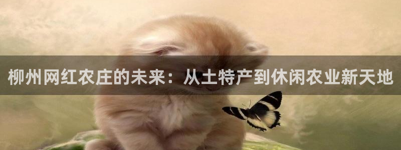 ag9九游会