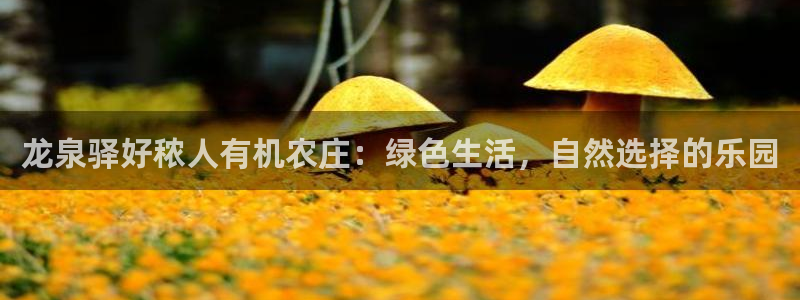 九游会登录体育