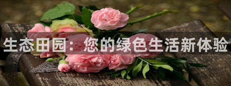 亚洲九游会