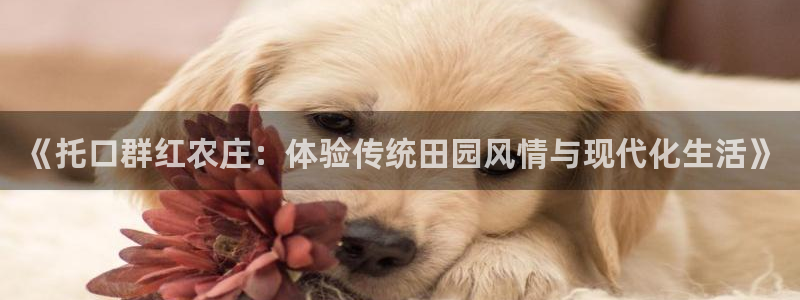 九游会健康吗