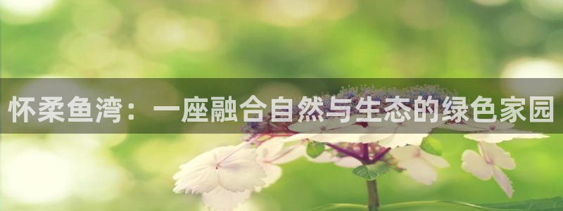九游会b