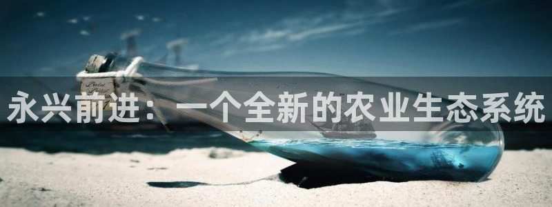 九游会国际厅登录