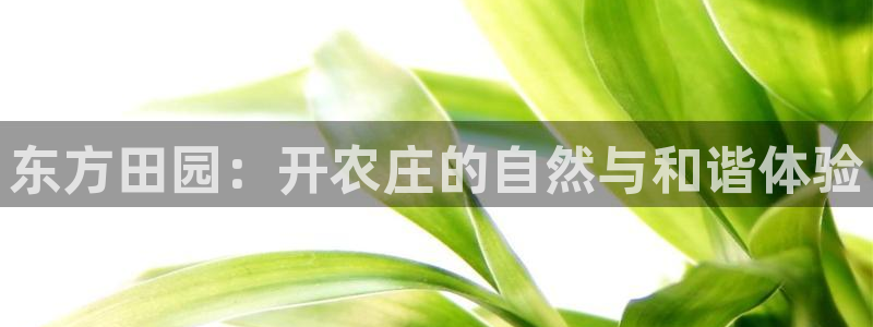 九游会体育投注