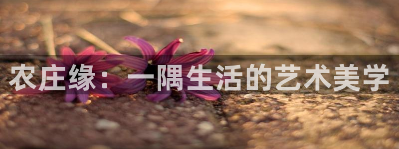 九游会国际下载