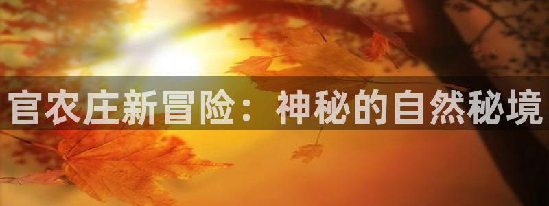 AG九游会官网登陆网址