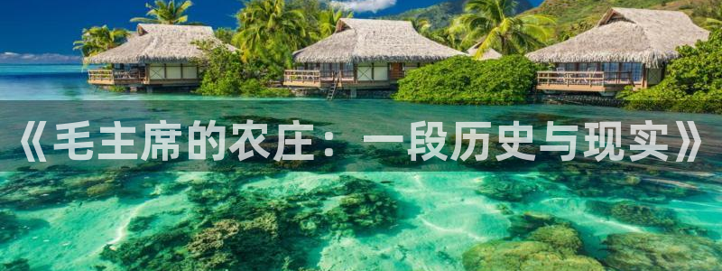 ag九游会官网app