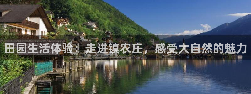 九游会国际官方