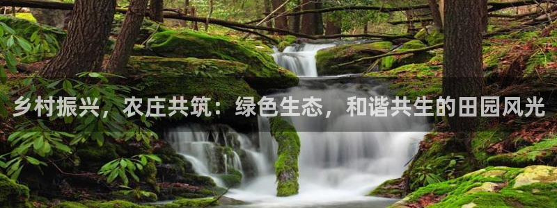 9九游会网站