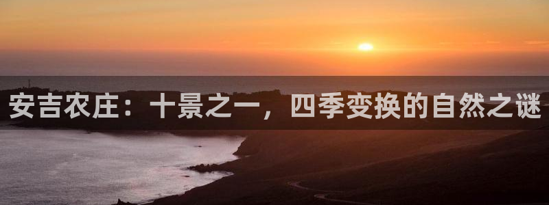 九游会的网址