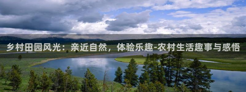 九游会体育滚球