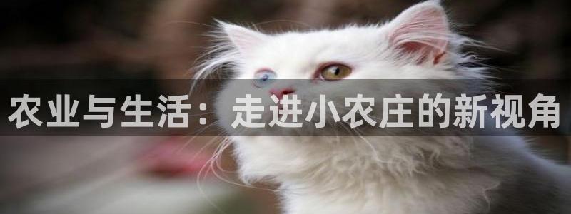 j9九游会手机版