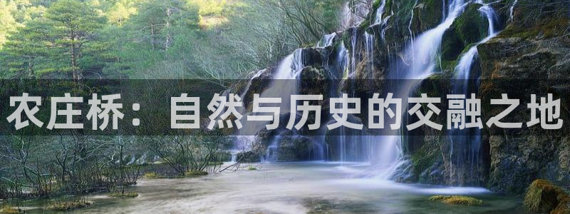 九游会agbaofu