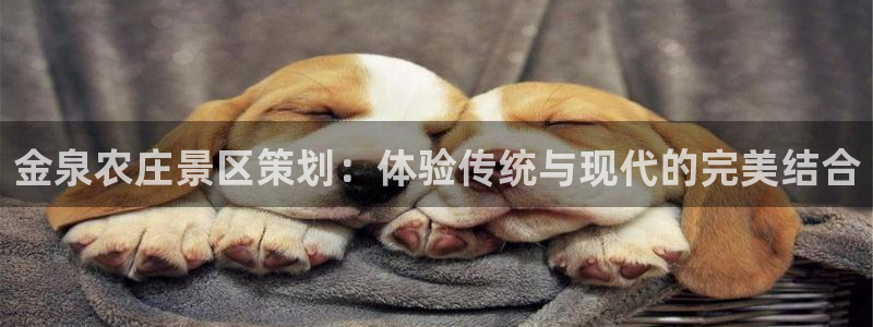 j9数字货币九游会备用