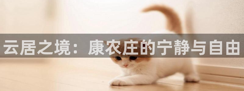 九游会官网登录中心官网