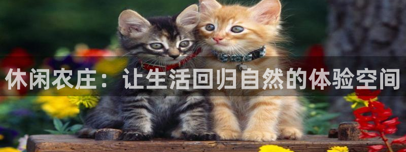 九游会官网网页版入口