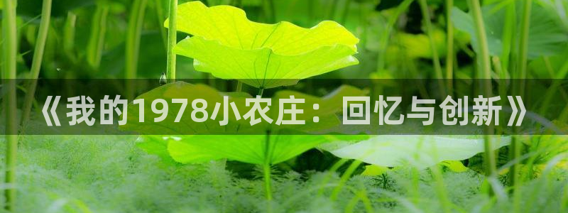 类似j9九游会
