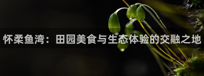 九游会网页版