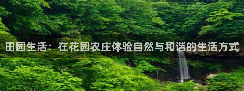 九游会论坛九哥
