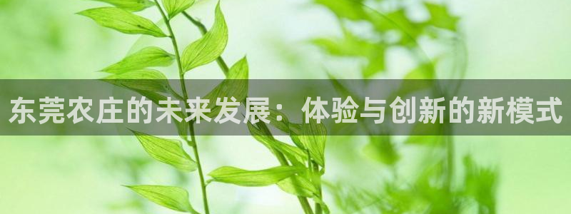 九游会网络