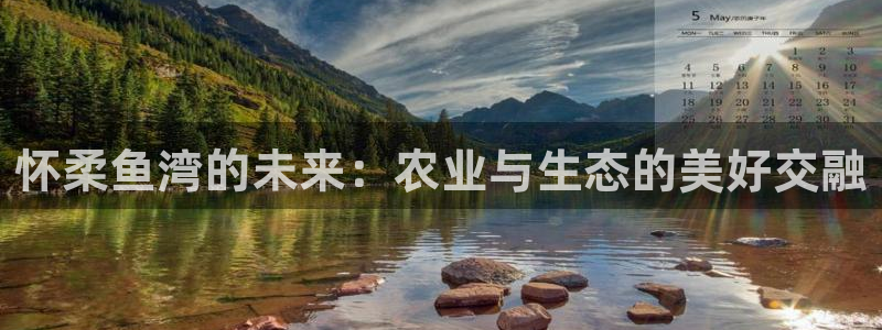 九游会j9提现快吗